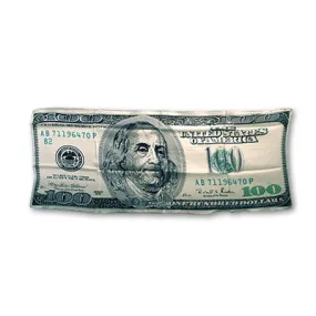 $100 bill Silk 36 inch