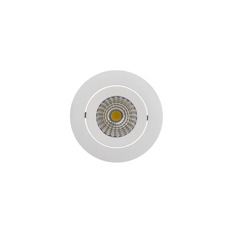 Adjustable Flat Recessed Downlight | Assorted Finish | Five Colour