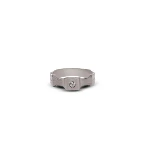 Curvy Ring in Zircons