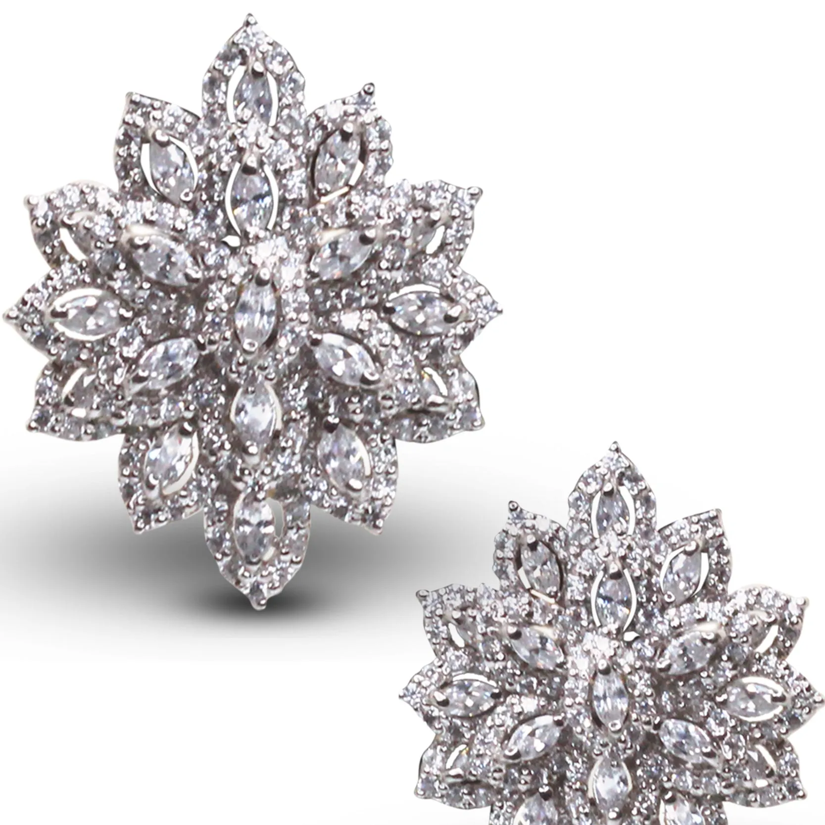 Earrings - E1248