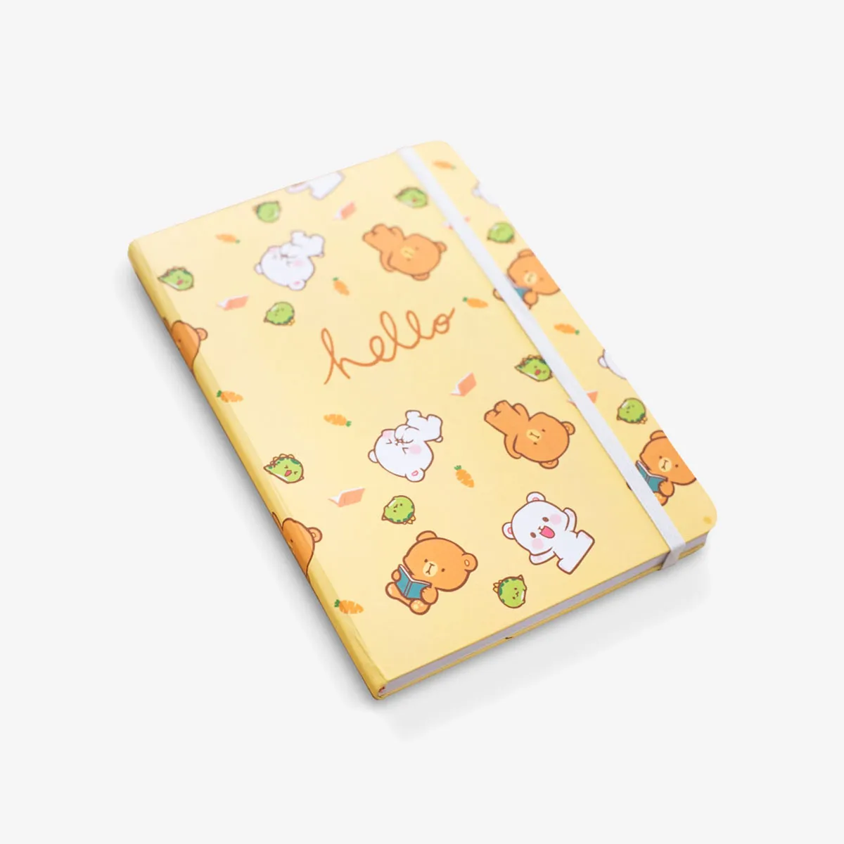 Notebook - Hello