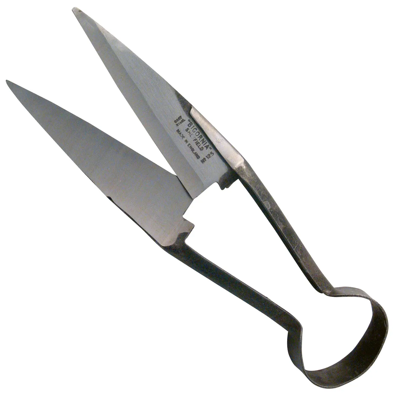 Single Bow Bigornia Shear - 6.5" Blade