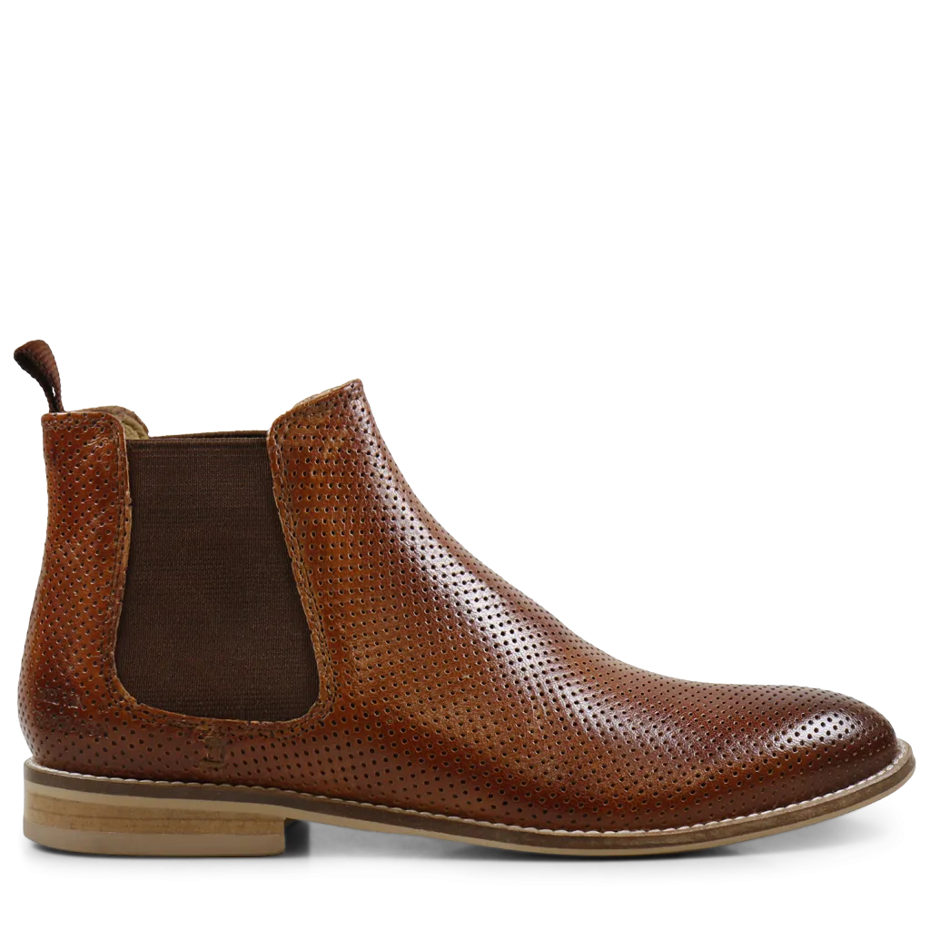 Xenia 1